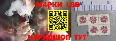 ешки Владимир