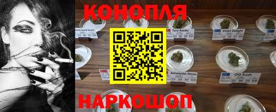 ешки Владимир