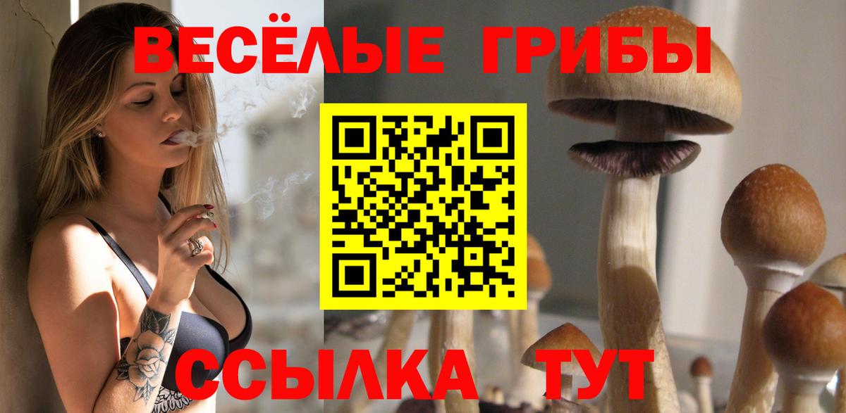 Галлюциногенные грибы мухоморы  Вход с VPN  даркнет сайт  Каменск-Шахтинский 